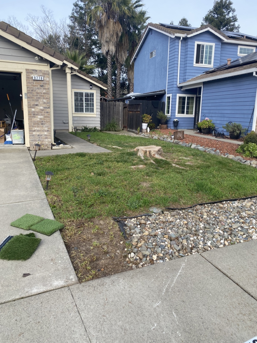Before artificial grass installation in Elk Grove CA showing natural lawn area prepared for turf transformation by Cal Pro Artificial Turf