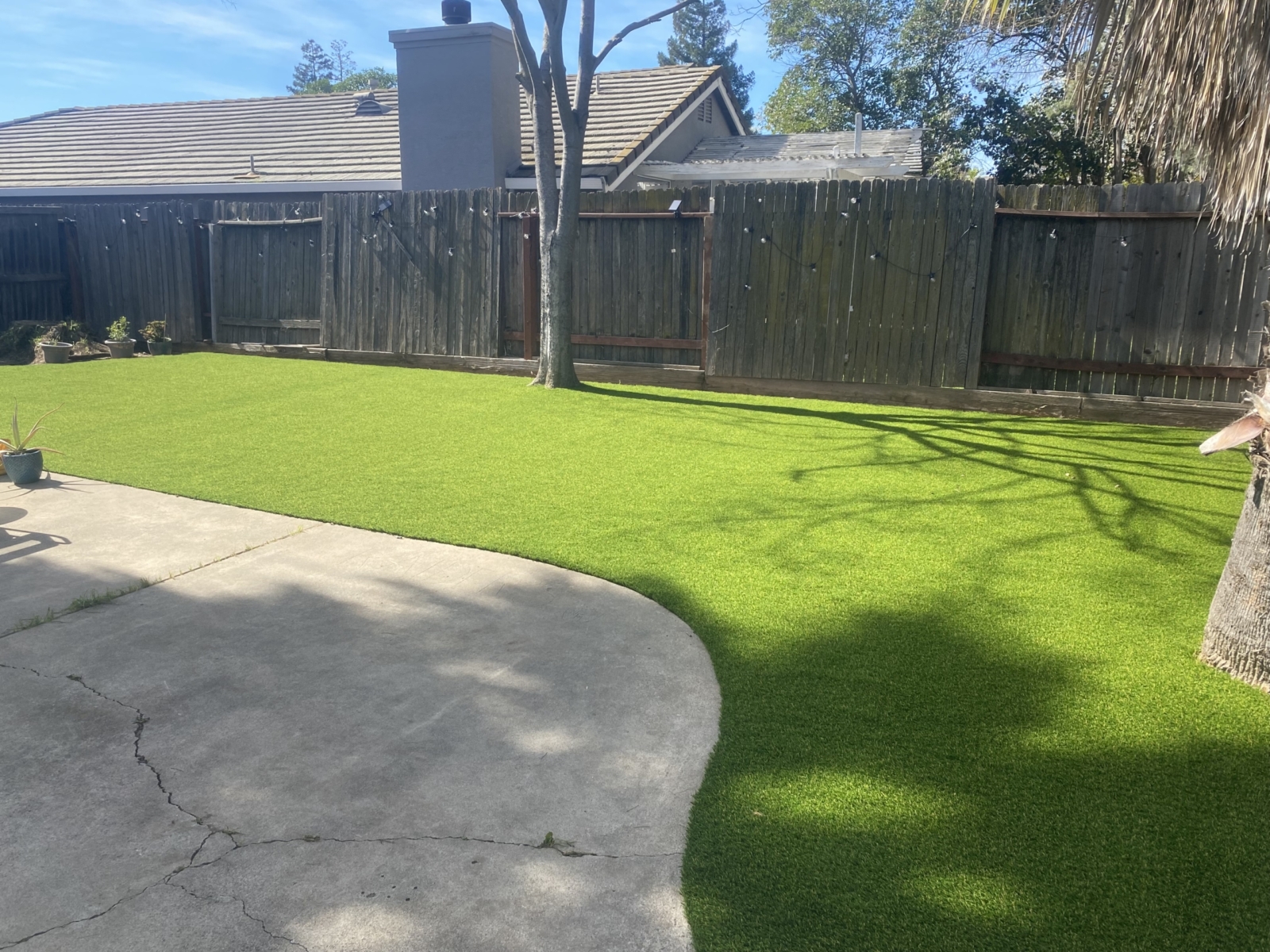 After artificial grass installation in a Sacramento backyard showing the transformation from an overgrown lawn to clean, low-maintenance synthetic turf beside a concrete patio.
