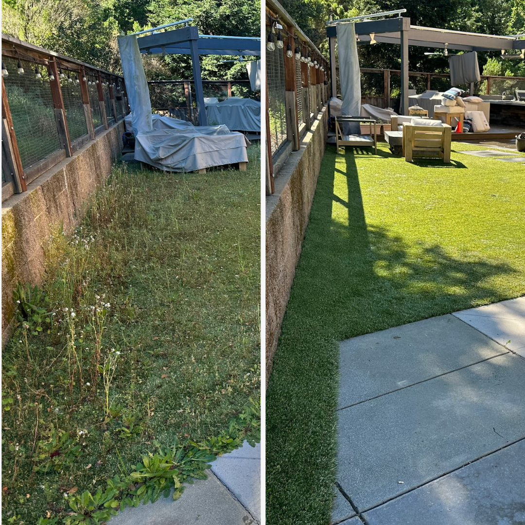 Overgrown weeds on artificial turf transformed into a clean, weed‑free lawn beside a patio in the San Francisco Bay Area.
